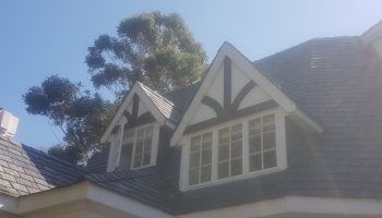 20190823_121424_resized