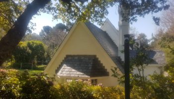 20190823_121500_resized