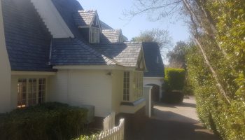 20190823_121512_resized