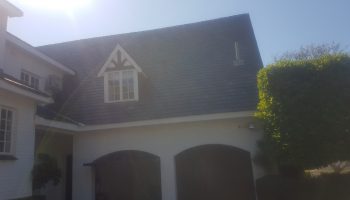 20190823_121545_resized