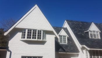 20190823_121731_resized